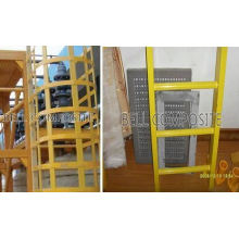 Fiberglass Reinforced Plastic Ladder with Cage, FRP/GRP Ladder, Fiberglass Ladder